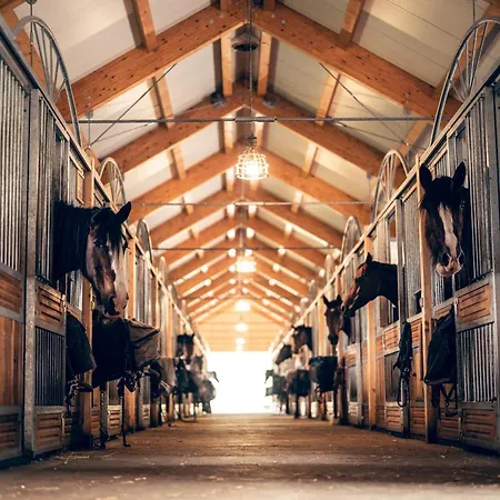 Apartmán-hotel Jítravský Dvorec Apartahotel