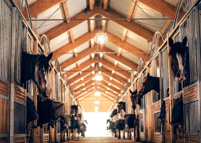 Apartmán-hotel Jítravský Dvorec Aparthotel