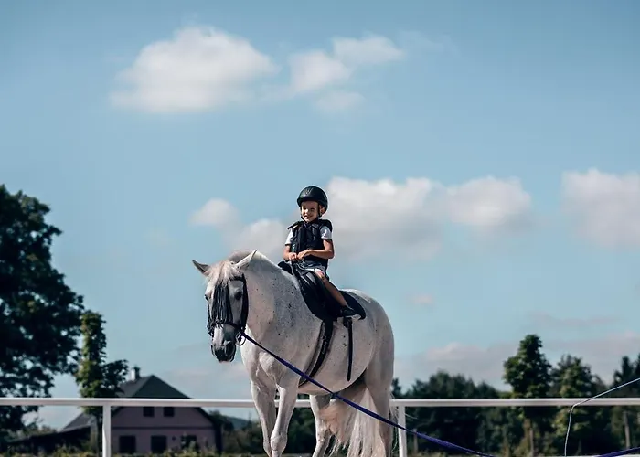 Apartmán-hotel Jítravský Dvorec 4*